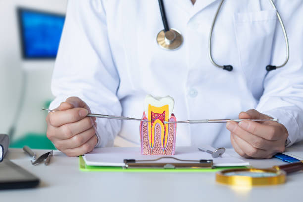 Best Emergency Tooth Extraction  in Franklin Farm, VA